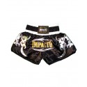 Belly Protector Boxing Muay Thai CHARLIE
